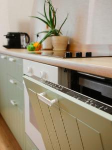 cocina con encimera y lavavajillas en Apartament Premium 154, en Biała Podlaska 14 fotos más
