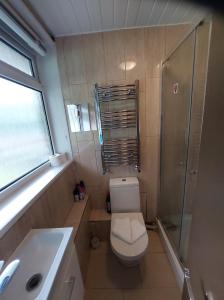 a bathroom with a toilet and a shower and a sink at 38 Westerham in London