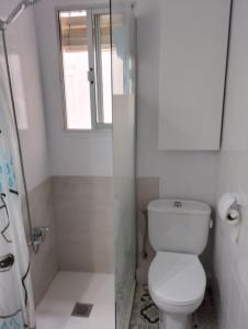 La salle de bains blanche est pourvue d'une douche et de toilettes. dans l'établissement FLAMING CB, à Cullera