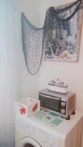 a microwave sitting on top of a washing machine at Domo Mea in Miniera dellʼArgentiera +10 photos