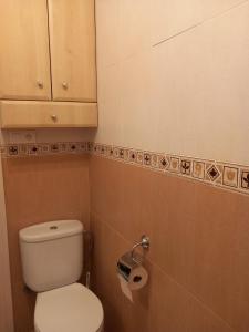 baño con aseo y dispensador de papel higiénico en Casa Abuela Antonia, en Granada