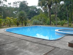 una piscina en un patio con árboles en Apartamento Tulül en San Martín Zapotitlán