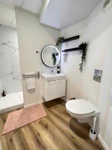 La salle de bains est pourvue de toilettes, d'un lavabo et d'un miroir. dans l'établissement Couett'Hôtel Brest, à Brest