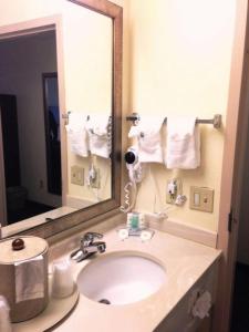 a bathroom with a sink and a large mirror at Comfort Inn & Suites FtJackson Maingate in Columbia