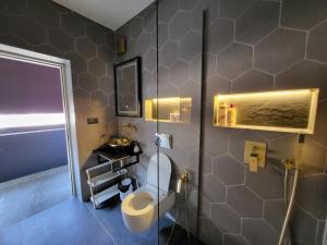 une salle de bain avec douche et toilettes dans l'établissement La Mirage Suites & Apartments, à Tirana 96 autres photos