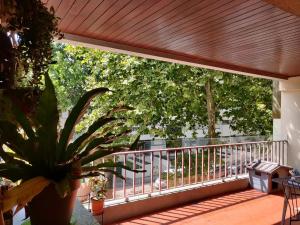 a balcony with a wooden railing and a potted plant at Le Raisonnable in Porto