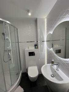 een badkamer met een wastafel, een toilet en een douche bij Apartament - Classic Olszowa in Włocławek