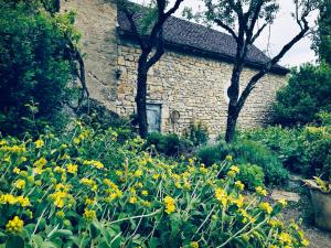 a garden with yellow flowers in front of a stone building at 1700's Country House with large Private Pool & Gardens in Villeneuve-dʼAveyron