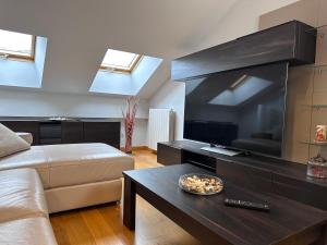 Μια τηλεόραση ή/και κέντρο ψυχαγωγίας στο Apartamento Gran Vía - PARKING GRATIS