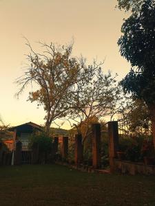 a tree in a yard next to a fence at Pousada Rota Do Beija Flor PACOTI-CE in Pacoti