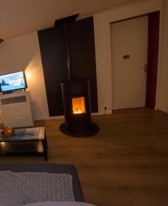 a fireplace in a living room with a tv at Le Cocon du Village Gérardmer in Gérardmer