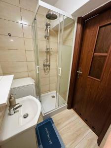 a bathroom with a shower and a sink and a glass door at City View Rooms in Warsaw