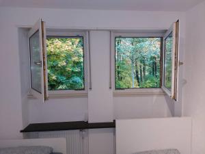 L8 Street - Leipziger Straße في كايزرسلاوترن: نافذتين في غرفة بيضاء مع أشجار