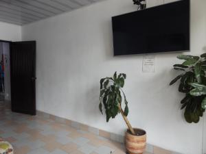 カリにあるHotel Farallones Caliの壁にテレビが付いた部屋の植物