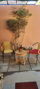 里奧哈的住宿－OASIS II Las Moras, con cochera y jardin，一张桌子和两把椅子以及一棵盆景树