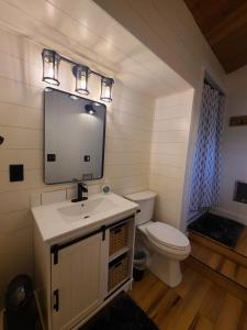 a bathroom with a toilet and a sink and a mirror at A Restful Studio Near a Creek and Forest - Pet Friendly in Roseburg