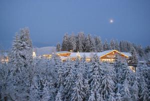 ein Haus mit schneebedeckten Bäumen davor in der Unterkunft Petersferienwohnung- Ferienwohnung mit Sauna, Pools und großem Balkon im Bayerischen Wald "Sankt Englmar" in Sankt Englmar