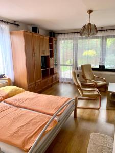 1 dormitorio con 1 cama, 1 silla y ventanas en Apartman Daniela, en Radvanice