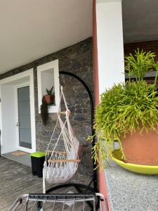 a porch with a hammock and potted plants at Mine House in Calheta