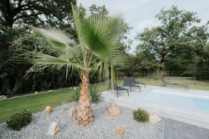 a palm tree sitting next to a swimming pool at Castle Inn - Szabadkígyós in Szabadkígyós