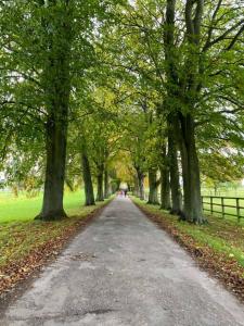 a tree lined road in a park with a fence at Large Stylish Luxury Cotswold Cottage - ideal for families, w/ EV charging in Andoversford