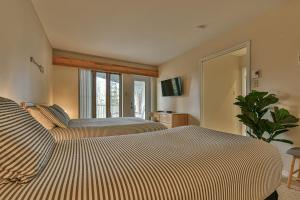 een hotelkamer met 2 bedden en een spiegel bij Semi Suit Sunshine in Mont-Tremblant