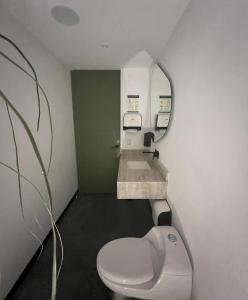 La salle de bains est pourvue de toilettes blanches et d'un lavabo. dans l'établissement BOURBON HOSTAL, à Juayúa