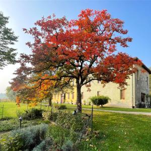 Zahrada ubytování Castel San Mauro