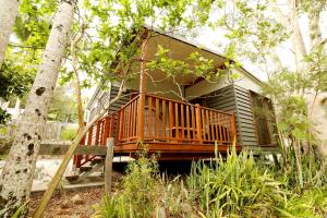a tree house with a deck in the woods at Mt Warning Rainforest Park 