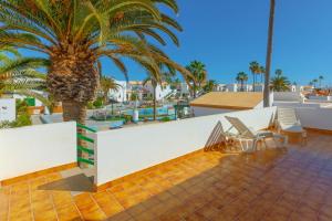 a patio with a palm tree and a white wall at Dunas of Love in Caleta De Fuste