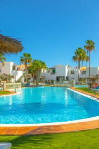 a large swimming pool with palm trees and buildings at Dunas of Love in Caleta De Fuste