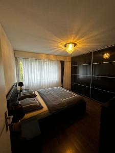 溫特圖爾的住宿－Gemütliche möbilierte Wohnung in Winterthur，一间卧室配有一张天花板上灯的床