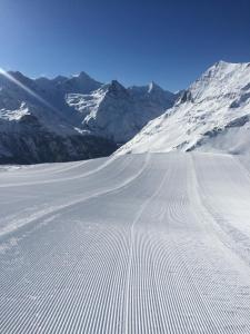 Studio Bellevue 1, ski lift 350m talvel
