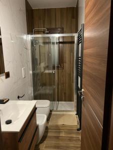 a bathroom with a shower and a toilet and a sink at Rifugio Federici Home in Camigliatello Silano