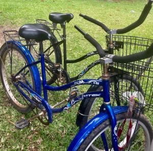 due biciclette parcheggiate l'una accanto all'altra sull'erba di Franky's Fare a Fare (Huahine Nui)