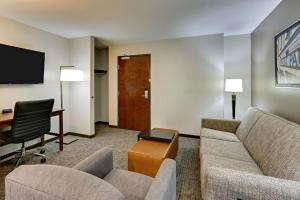 TV a/nebo společenská místnost v ubytování Drury Plaza Hotel St. Paul Downtown