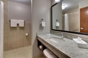 Kupaonica u objektu Drury Inn & Suites Columbus Polaris