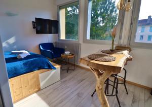 Superbe studio cosy et atypique 3 étoiles的电视和/或娱乐中心