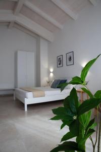 biała sypialnia z łóżkiem i rośliną w obiekcie DoMe Affittacamere w mieście Iglesias