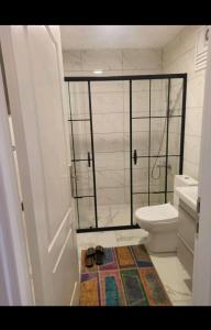 y baño con aseo y ducha acristalada. en Stylish Apartment en Estambul