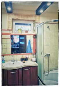 a bathroom with a sink and a shower at Cinderella Guitars 