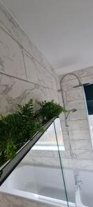 a plant on a shelf in a room with a window at SHM Stays Leicester. Newly Renovated!! 15 min drive from City Centre, University. 9 min Drive to Leicester City Stadium, 5 min drive to M1 & M69. 2 min walk to bus stop. in Leicester +43 photos