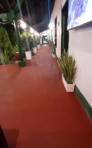 モンポスにあるHOTEL CASA VANIA MOMPOX, CON PARQUEADERO Y PISCINA, CENTRO HISTORICOoの鉢植えの廊下