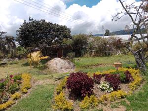 un jardín con flores de colores en la hierba en Finca la Riverita, en Sutamarchán