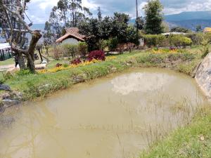 un estanque en medio de un jardín en Finca la Riverita, en Sutamarchán