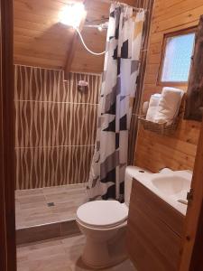 y baño con aseo, ducha y lavamanos. en Glamping El Ocaso, en Zipaquirá