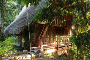 a house with a thatched roof and a swing at PUQIO ECOLODGE in Tarapoto