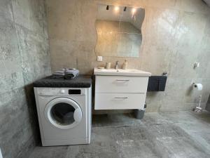 a bathroom with a washing machine and a sink at Cozy Apartment near Vienna Airport in Schwechat