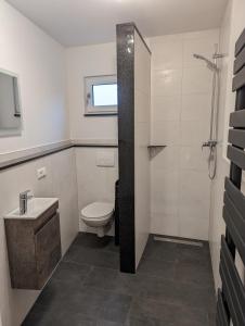 uma casa de banho com um WC, um lavatório e um chuveiro em Pension Haus Leni am Schwanenteich em Mühlhausen