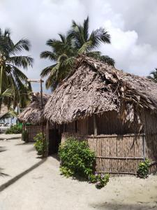 a hut with a straw roof and palm trees at D-Gunayar Experience in Cabins classic in Arritupo Número Dos